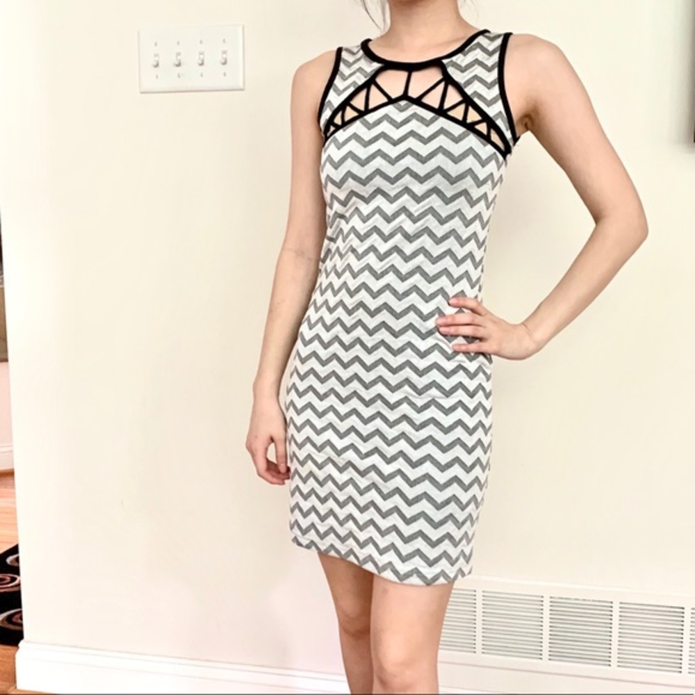 Chevron Silver Grey & Black Bodycon Mini Dress